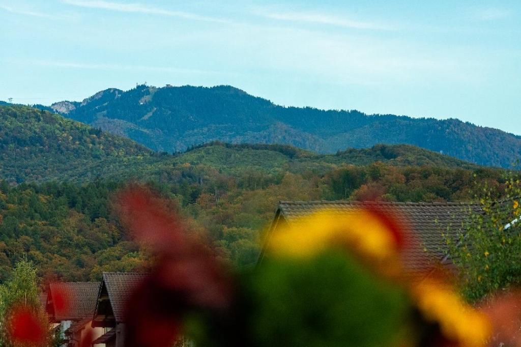 N & G Apartments Rîşnov エクステリア 写真